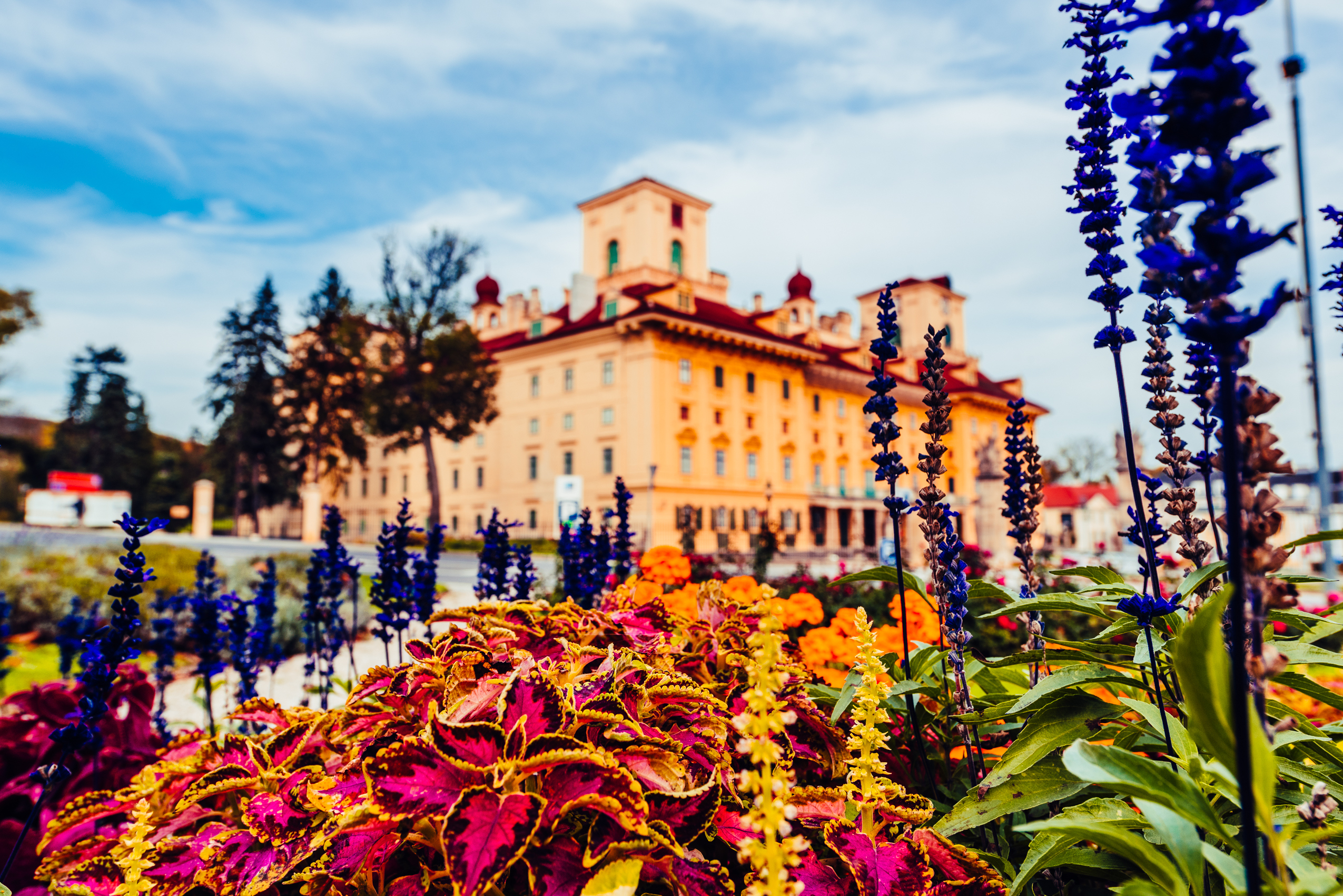 Schloss Esterházy Herbstfoto 3c Josef Siffert